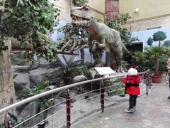 -国家自然博物馆