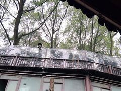 -巴倒烫陆派重庆火锅(南山店)