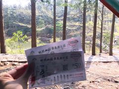 -四明山国家森林公园