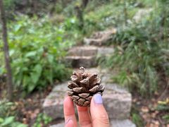 -玉渡山自然风景区