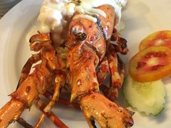 -Red Lobster