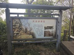 -紫金山天文台