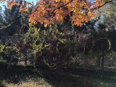 -丰台花园