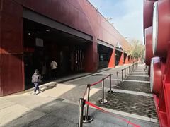 -常青藤国际象棋(新奥店)