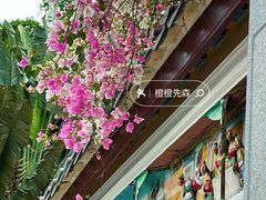 -深圳国际园林花卉博览园