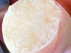 -老袁家蜜桃农场·阳山水蜜桃