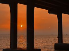 -宝安西湾红树林湿地公园