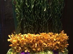 iphone_upload_pic-广州四季酒店