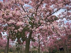 -风云岭森林公园