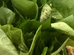 -润园四季椰子鸡火锅(南山海岸城店)