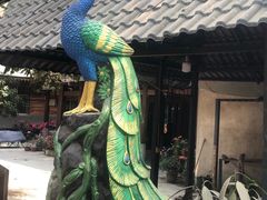 -西双版纳傣族园