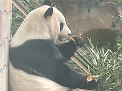 -青藏高原野生动物园