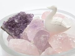 -BEAST野兽派(上海浦东嘉里城店)