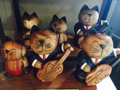 -猫咪博物馆(顶澳仔猫街店)