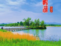 -野鸭湖国家湿地公园