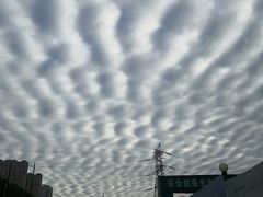 -东大门市场