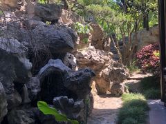 -盆景园(扬州大运河文化旅游度假区)