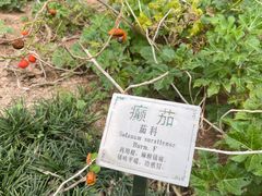 -广州神农草堂中医药博物馆