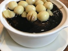 莲子龟苓膏-正德顺順德雙皮奶(中信店)