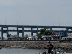 -日月昇渔家菜·海肠捞饭·大连海鲜(星海公园店)