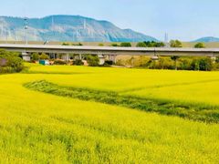 -光明小镇欢乐田园