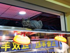 -甜来羊肉馆(水仙园店)