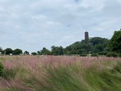 -红花山公园