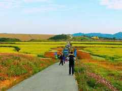 -光明小镇欢乐田园