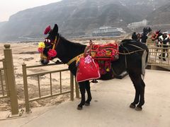 -陕西黄河壶口瀑布旅游区