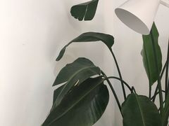 -COTTON CAFE(德信·中外公寓店)