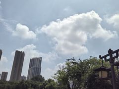 -木塔寺遗址生态公园