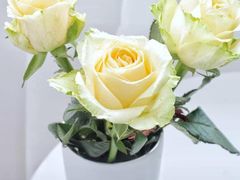 -森野花艺培训·企业团建活动沙龙