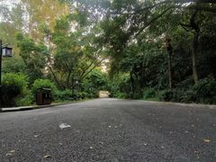 -三水森林公园