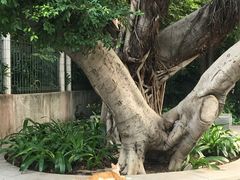-晓港公园