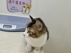 -芭比堂动物医院广州顽皮分院