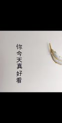 -YIMEI ART半永久纹眉·野生眉