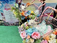 -灵玲国际马戏城