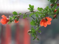 -恭王府博物馆