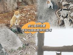 -崂山巨峰游览区