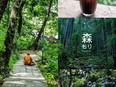 -寂照庵