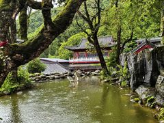 -塔云山