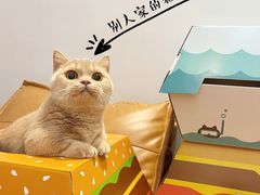 -麦当劳(金沙广场店)