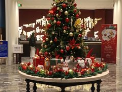 -北京东三环希尔顿逸林酒店