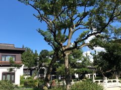 -杭州西湖柳莺里酒店·闻莺厅