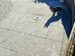 -窦店服务区-停车场