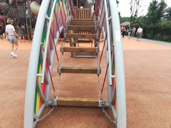 -枫香湖儿童公园