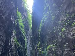 -武陵山森林公园