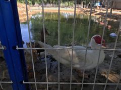 -东郊湿地公园