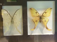 -上海昆虫博物馆