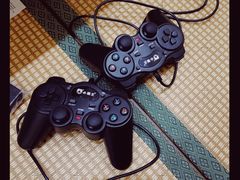 -柴犬小屋·柴餐厅·狗咖食堂(金鼎广场店)